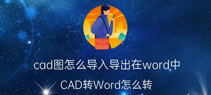 cad图怎么导入导出在word中 CAD转Word怎么转？